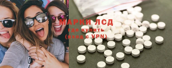 сатива Няндома