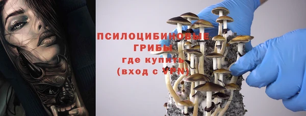 твердый Осташков