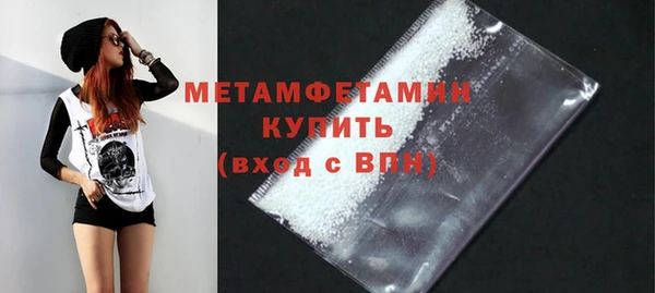 сатива Няндома