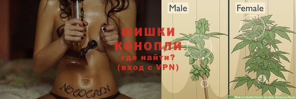 твердый Осинники