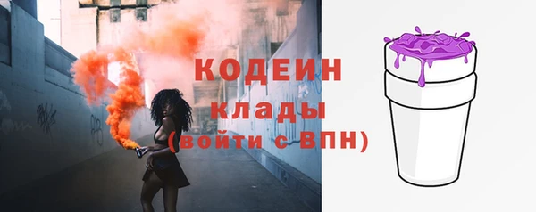 сатива Няндома