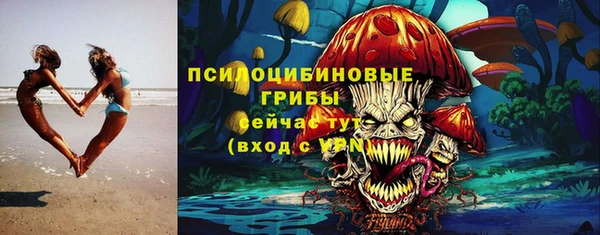 спайс Нягань