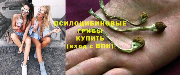 сатива Няндома