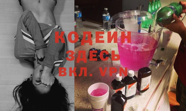 сатива Няндома