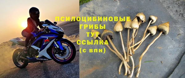 твердый Осташков