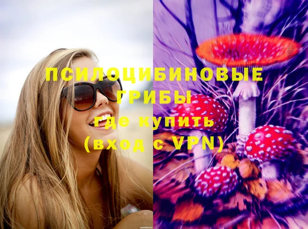 сатива Няндома