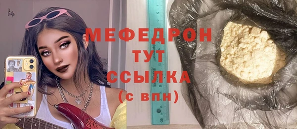 сатива Няндома