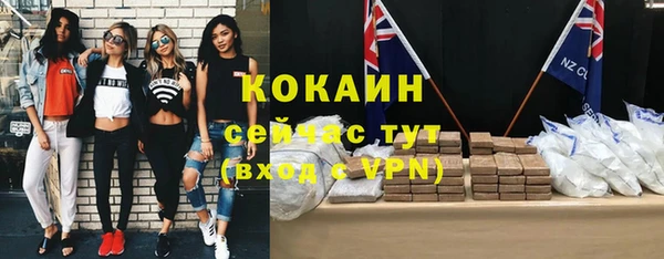 твердый Осинники