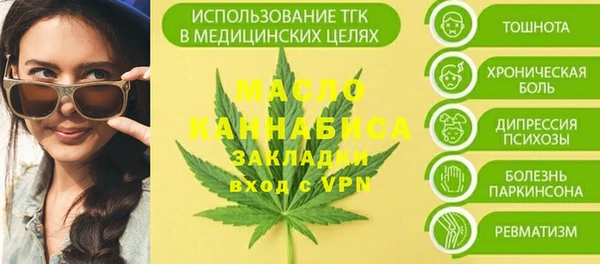сатива Няндома