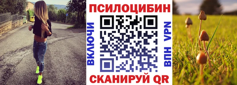 Галлюциногенные грибы мицелий  купить наркотики сайты  omg как зайти  Ивдель 