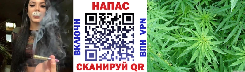 Бошки марихуана сатива  Ивдель 